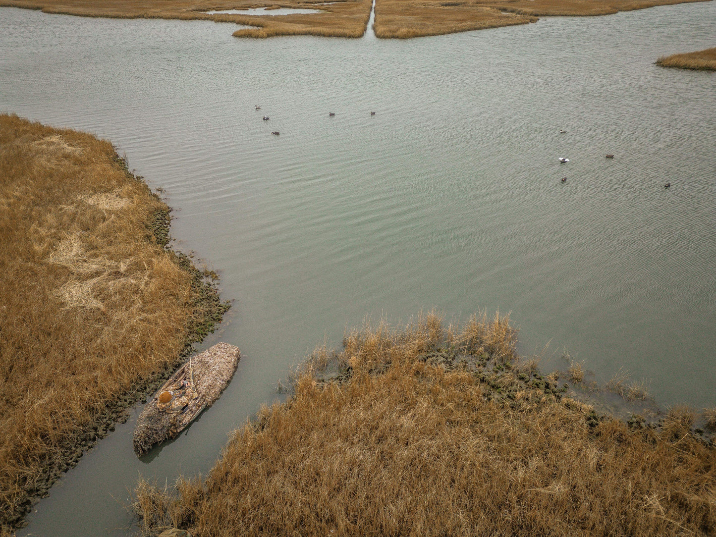 Water Feather Concealment System