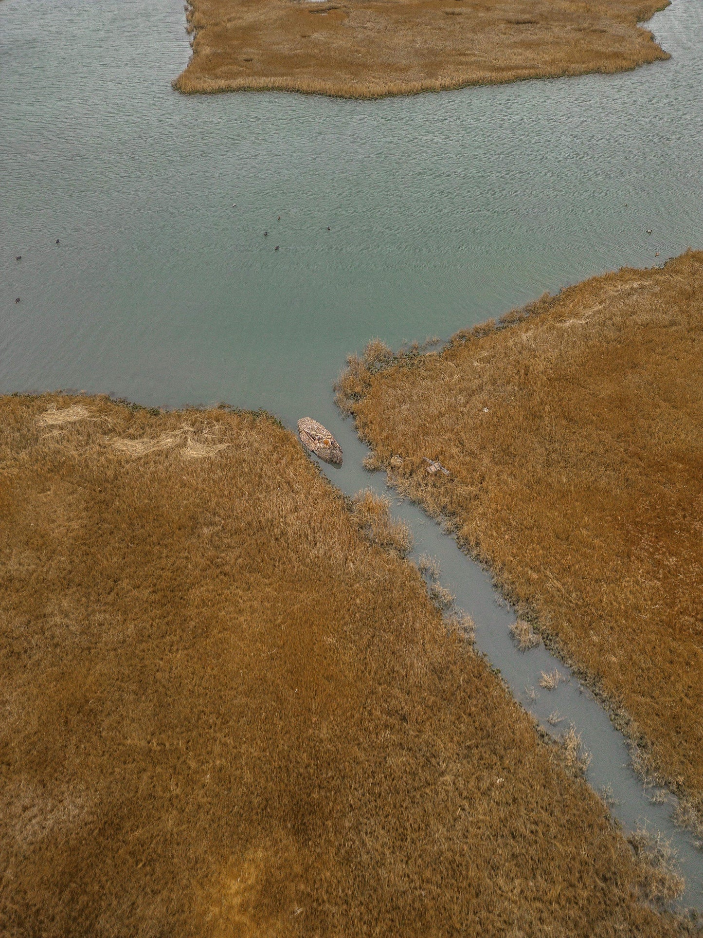 Water Feather Concealment System